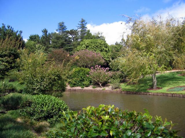 Japanese Garden - Toowoomba: A garden for long life and health