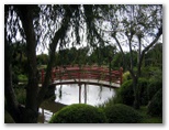 Japanese Garden - Toowoomba: Quiet tranquil bridges and water