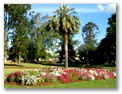 Queens Park Garden - Toowoomba: 