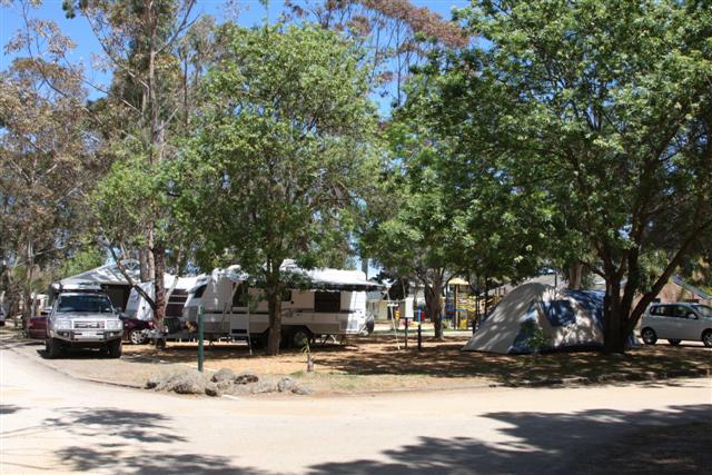 Torquay Holiday Park - Torquay: Shady powered sites for caravans