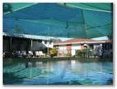 Shelly Beach Caravan Park - Torquay: Swimming pool