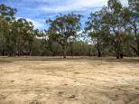 Baillieu Richardson Lagoon State Game Reserve - Torrumbarry: Lots of space