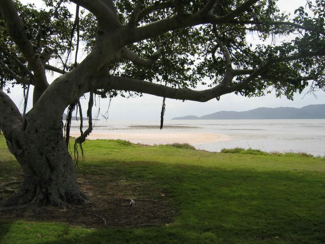 Rowes Bay Caravan Park - Townsville: View of Rowes Bay
