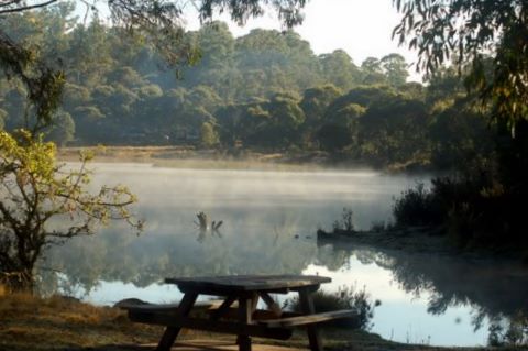 Paddy's River Dam Bago State Forest - Tumbarumba: Magnificent picnic area with mist on the dam