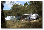 Paddy's River Dam Bago State Forest - Tumbarumba: Unpowered sites for caravans