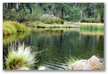 Paddy's River Dam Bago State Forest - Tumbarumba: Magnificent forest scenery