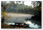 Paddy's River Dam Bago State Forest - Tumbarumba: Magnificent picnic area with mist on the dam