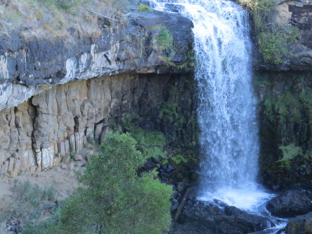 Paddys River Falls - Tumbarumba: Waterfalls. 