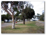 Tumby Bay Caravan Park - Tumby Bay: Area for tents and camping