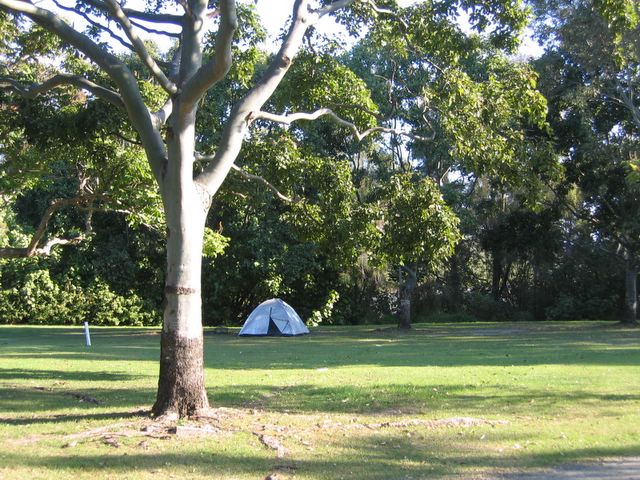 Boyds Bay Holiday Park - Tweed Heads: Area for tents and camping
