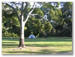 Boyds Bay Holiday Park - Tweed Heads: Area for tents and camping