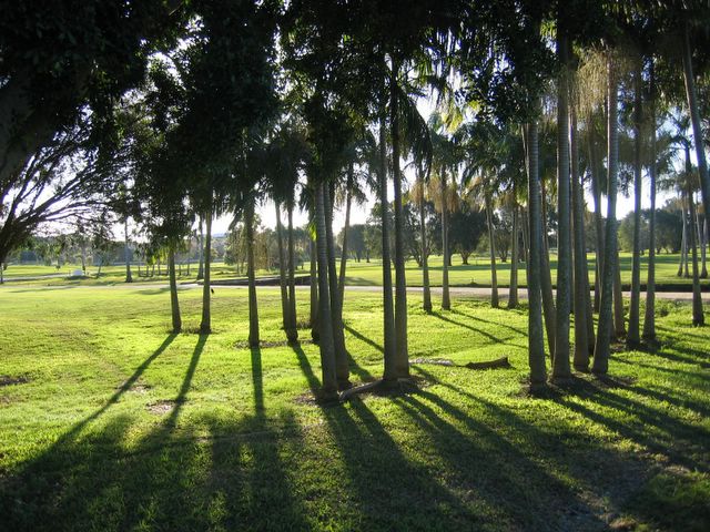 Twin Towns Golf Course - Banora Point: Late afternoon shadows among the trees on Twin Towns Golf Course