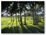 Twin Towns Golf Course - Banora Point: Late afternoon shadows among the trees on Twin Towns Golf Course
