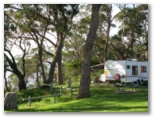 Ulladulla Headland Tourist Park - Ulladulla: Powered sites for caravans with water views