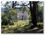Brigalow Park - Urunga: Overview of the park from the Pacific Highway