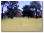 Urunga Golf and Sports Club - Urunga: Green on Hole 7