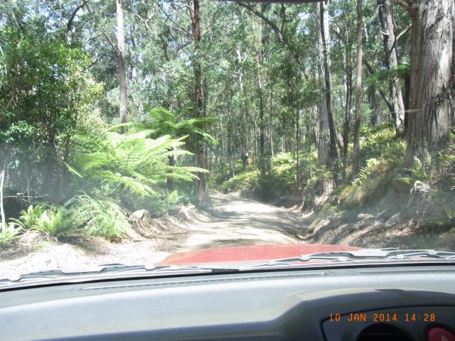 Cascades Camping Ground - Wadbilliga National Park: The road to Nerrigundah and Bodalla which runs between the Wadbilliga and Deua National parks and is quite steep coming down the mountains.