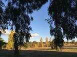 Carinya Cabins and Caravan Park - Wagga Wagga: There is lots of space in the park so you get lovely long views.