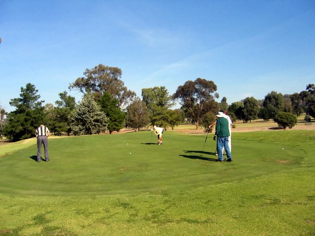 Wagga Wagga RSL Golf Course - Wagga Wagga: Green on Hole 3