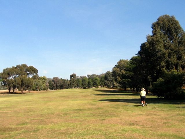 Wagga Wagga RSL Golf Course - Wagga Wagga: Approach to the Green on Hole 8