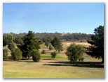 Wagga Wagga RSL Golf Course - Wagga Wagga: The Wagga RSL Golf Club has many magnificent trees