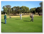 Wagga Wagga RSL Golf Course - Wagga Wagga: Green on Hole 7