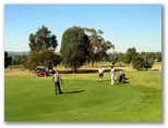 Wagga Wagga RSL Golf Course - Wagga Wagga: Green on Hole 8