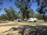 Wilks Park - Wagga Wagga North: Some shade is available.