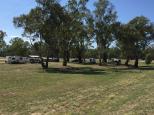 Wilks Park - Wagga Wagga North: Plenty of room for caravans, campervans and big rigs and RVs of all shapes and sizes. Overview of the free camping area photographed from Hampden Avenue.