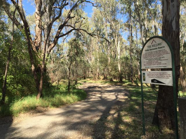 Willows Camping and Recreation Reserve - Wahgunyah: This is the track to the camping areas.