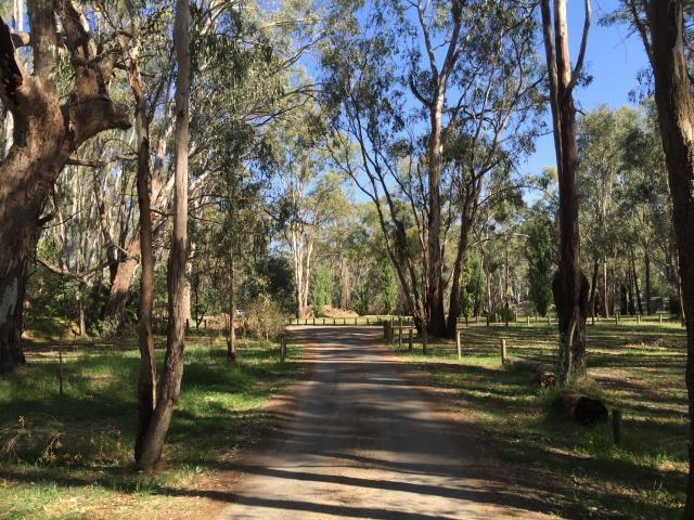 Willows Camping and Recreation Reserve - Wahgunyah: Track to the Reservation.