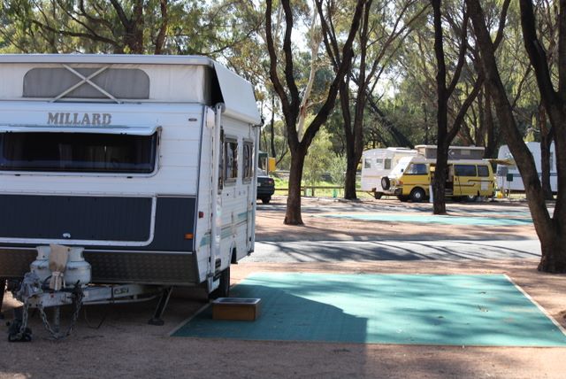 Waikerie Caravan Park - Waikerie: Powered sites for caravans with lots of shade