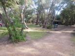 Coalmine Beach Holiday Park - Walpole: Sites under trees