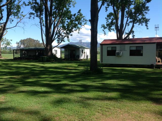 Walwa Riverside Caravan Park - Walwa: Modern cabins for those without caravans