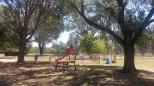 Oxley Recreation Reserve - Wangaratta: Playground for children