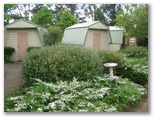 Wannon River Holiday Park - Wannon: Cabin accommodation