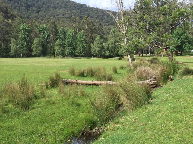 Upper Yarra Reservoir Park - Reefton: The area is well maintained by Vic Parks