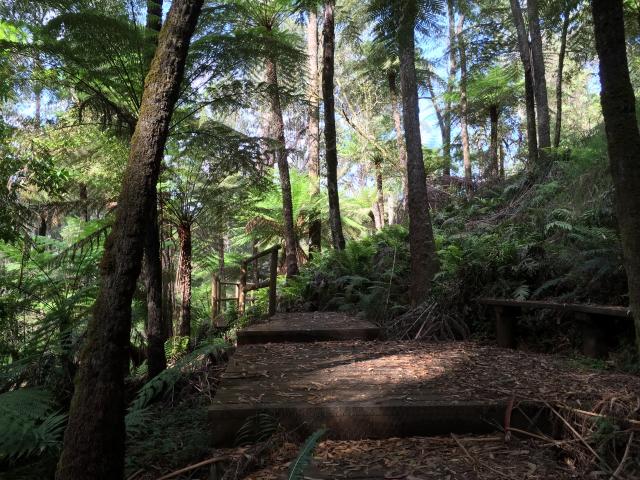 Upper Yarra Reservoir Park - Reefton: The walk as well prepared paths