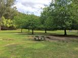 Upper Yarra Reservoir Park - Reefton: Picnic tables and lots of places for relaxation