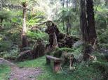 Upper Yarra Reservoir Park - Reefton: Beautiful rainforest