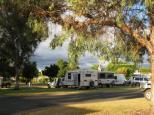 Warialda Council Caravan Park - Warialda: Shady powered sites for caravans 
