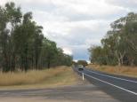 Warialda Creek Rest Area - Warialda: Area is close to the road.