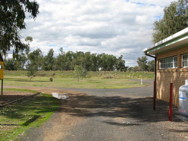 Macquarie Caravan Park - Warren: Good roads throughout the park