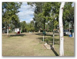 Macquarie Caravan Park - Warren: Drive through powered sites for caravans