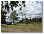 Macquarie Caravan Park - Warren: Powered sites for caravans