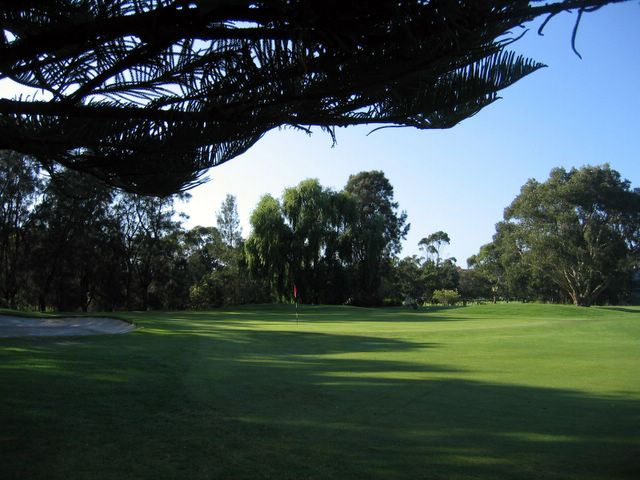 Warringah Golf Course - North Manly Sydney: Green on Hole 13