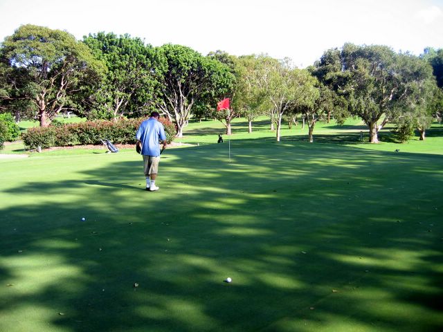 Warringah Golf Course - North Manly Sydney: Green on Hole 17