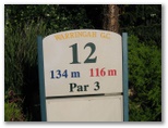 Warringah Golf Course - North Manly Sydney: Hole 12 - Par 3, 134 meters
