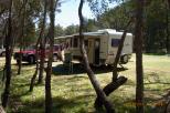 Camp Wambelong - Warrumbungle National Park: settled in for awhile