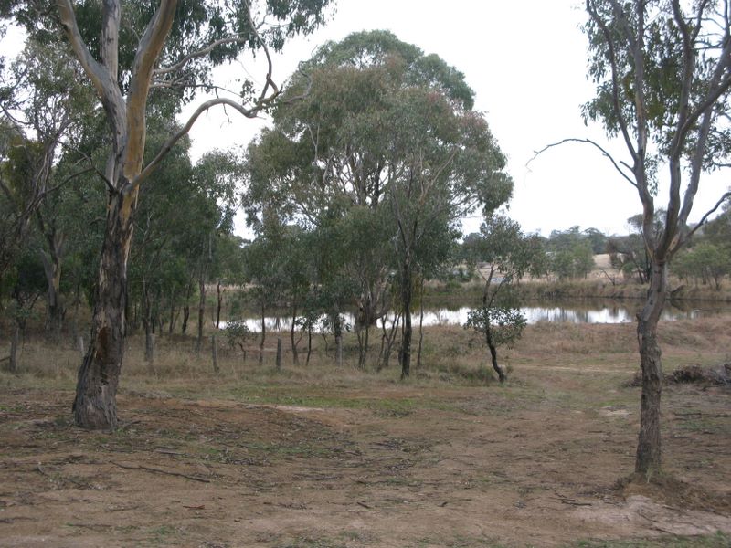 Wattle Flat Picnic and Camping Area - Wattle Flat: Parking area